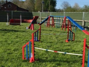 Dog agility equipment for hire North West