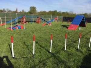 Practice dog agility Manchester