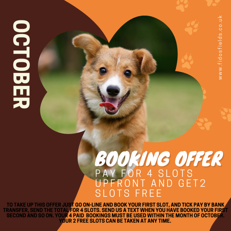 Prices Astley Dog Park and Agility